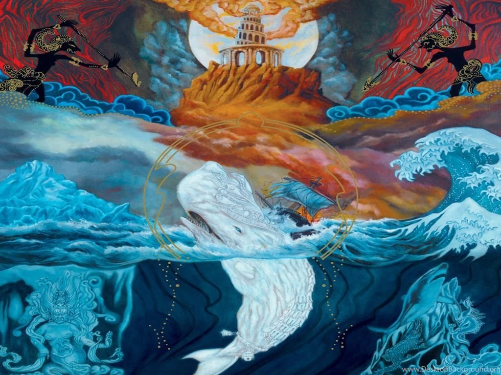 Moby Dick Wallpapers Wallpapers Cave