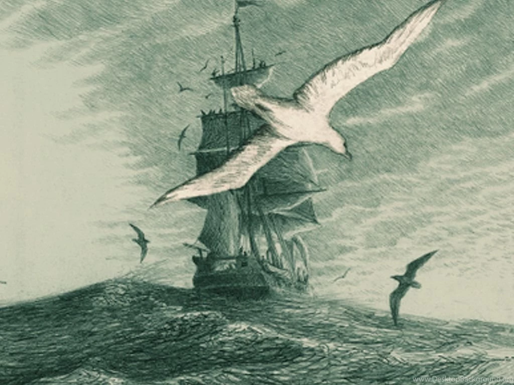 Moby Dick Wallpapers Wallpapers Cave