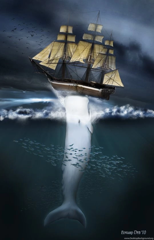 Moby Dick By Dr phoenix On DeviantArt