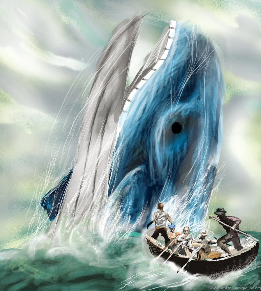 Moby Dick, With A Wailord By Darren1993 On DeviantArt