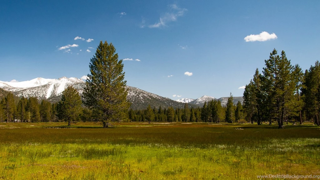 Basketball Wallpapers