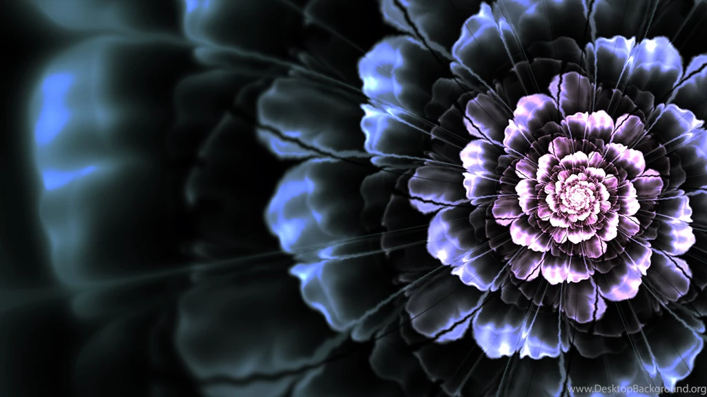 Black Dahlia Wallpapers Wallpapers Zone