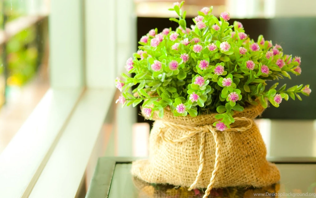 Green Flower Cute Wallpapers