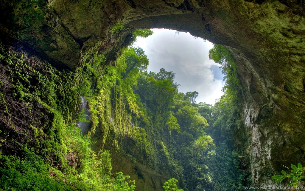 Awesome Jungle Wallpapers For PC