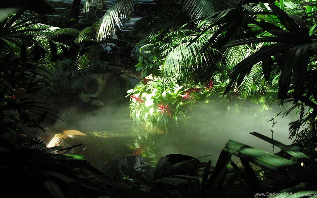 Jungle Wallpapers For PC