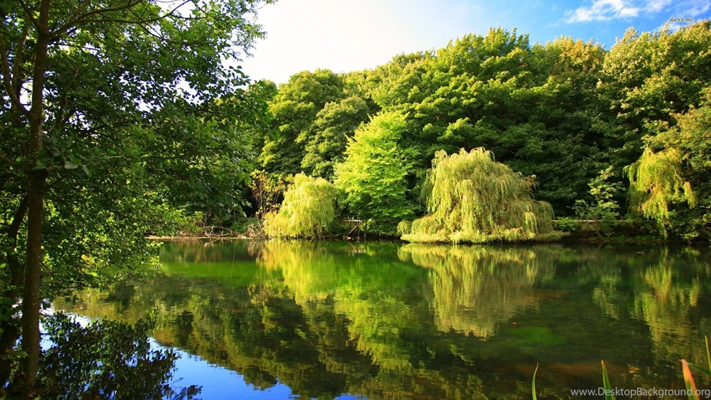 Jungle River HD Wallpapers HD Wallpaper Backgrounds Of Your Choice