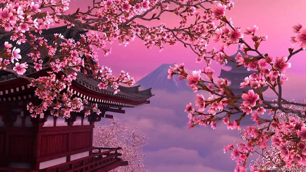 Sakura Live Wallpapers YouTube