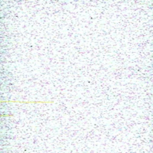 Glitter Fabric And Wallpapers   Glitter Disco Collection   Winter White