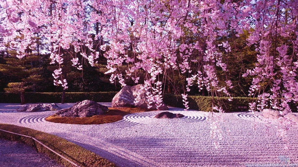 Sakura HD Live Wallpapers Android Apps On Google Play