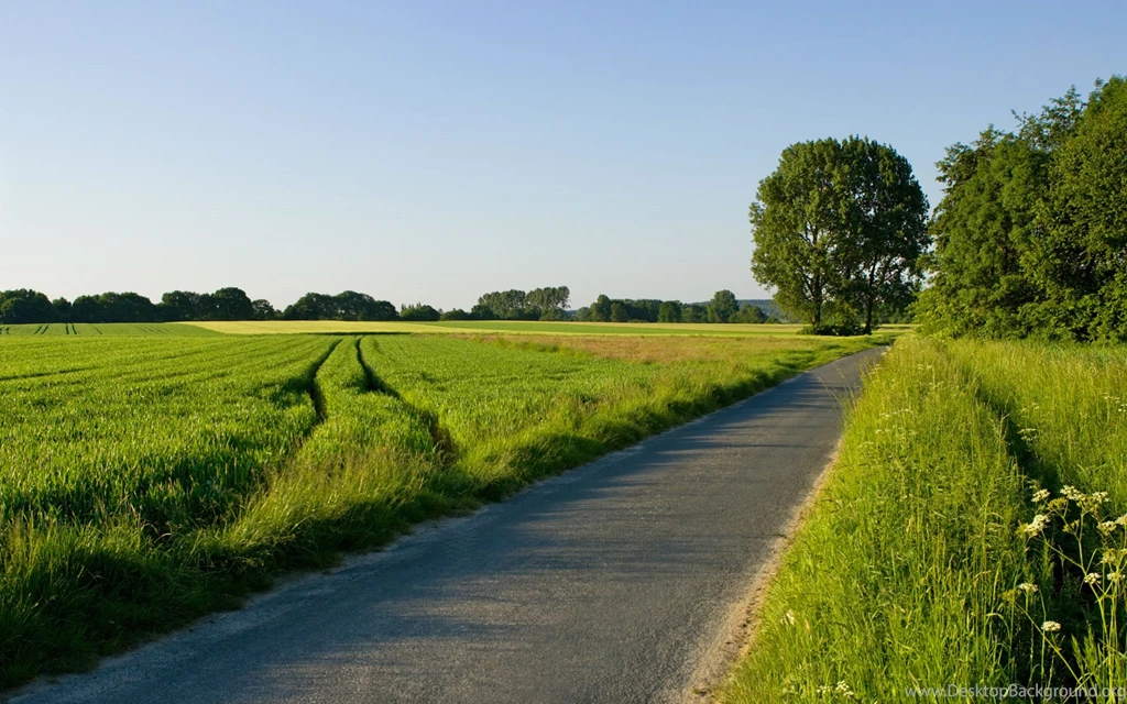 Green Country Road Scenic Wallpapers Image Featuring Roads And Paths
