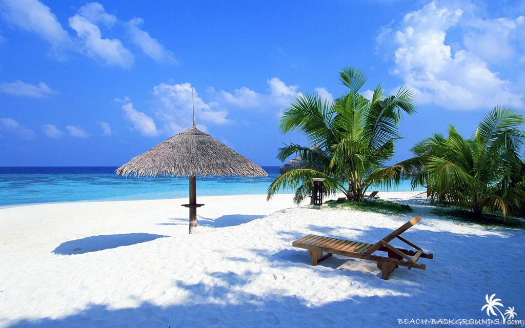 Best 1000 Screensaver: Screensaver A Wallpapers