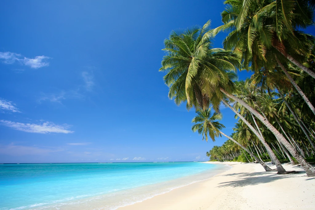 Tropical Beach Screensaver, Wallpaper, Tropical Beach Screensaver ...