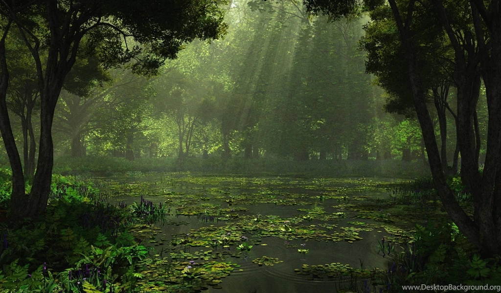 Nature Landscapes Rain Beautiful Pink Landscape Cool Wallpapers ...