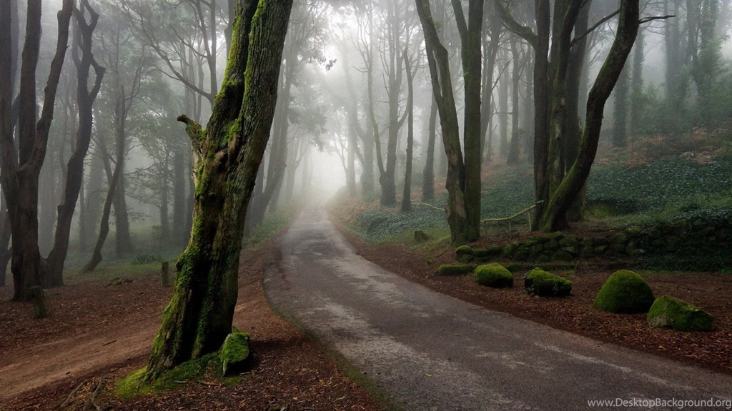 The Road 1920x1080 Wallpapers, 1920x1080 Wallpapers & Pictures ...