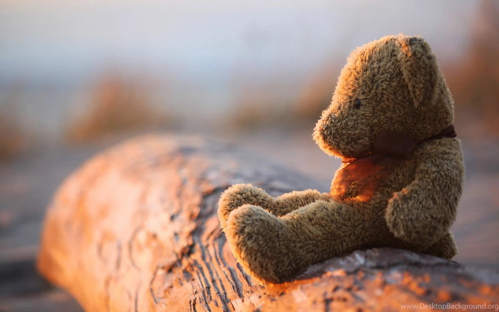 Lonely Teddy Bear Wallpapers