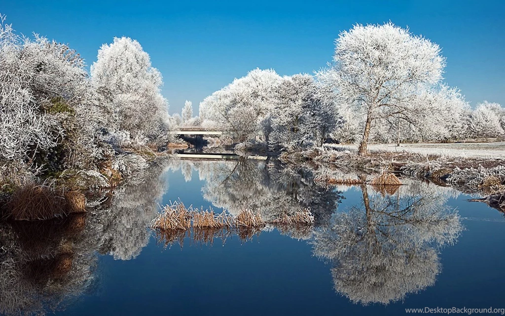 Winter Beautiful Rime Scenery Wallpapers 11 － Landscape Wallpapers ...