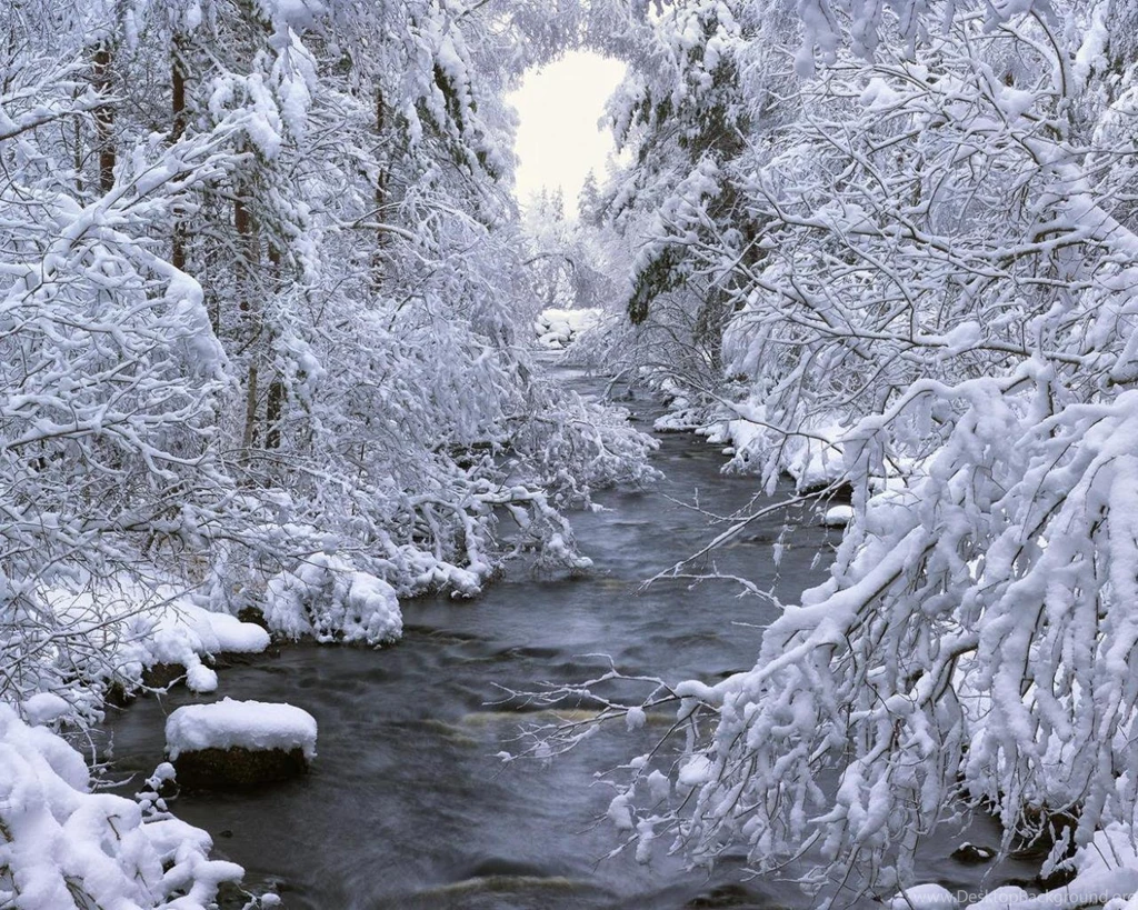 Beautiful Winter Scene Wallpapers   (