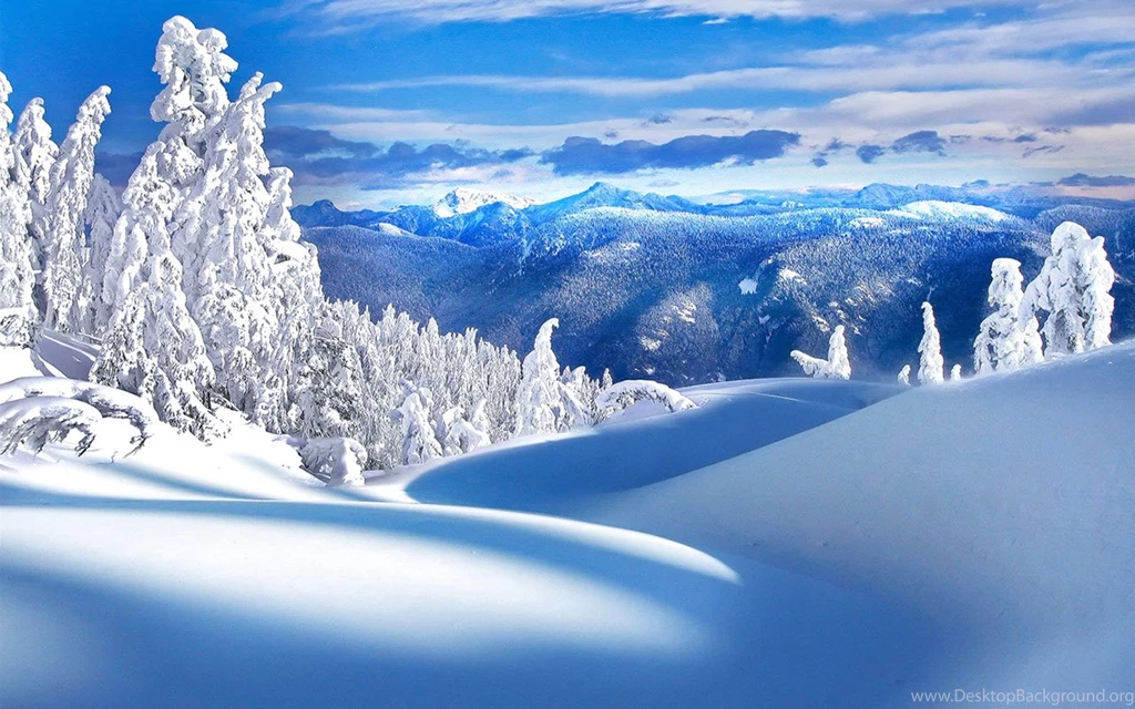 Winter Beautiful Rime Scenery Wallpapers 6 - Landscape Wallpapers ...