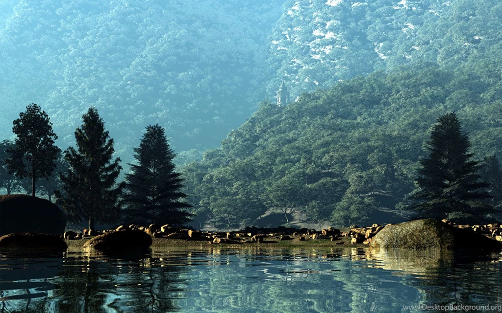 New Beach And Seashell Msi Wind Asus Eee PC Nj Wallpapers