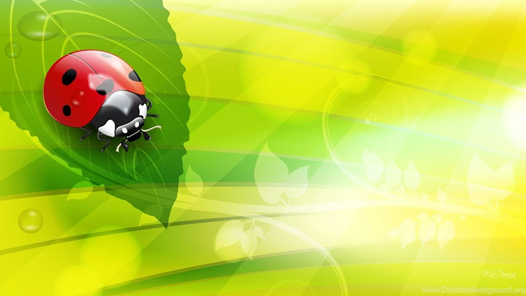 Ladybug Wallpapers Wallpapers Cave