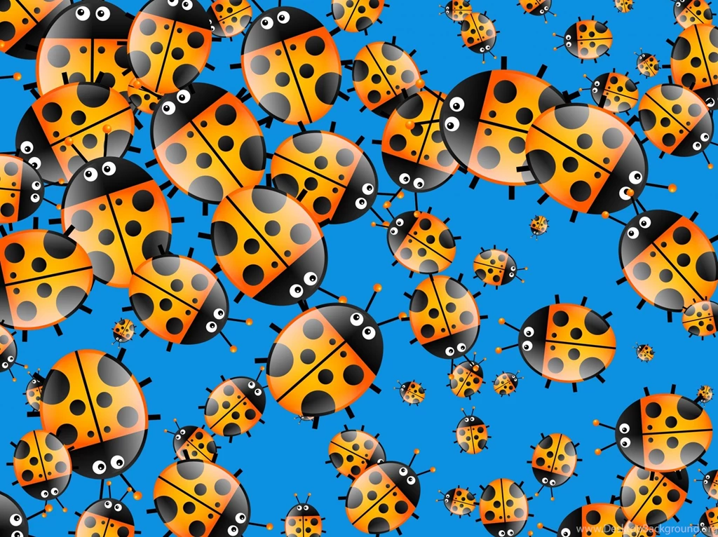 Cartoon Ladybug Wallpapers Free Stock Photo Public Domain Pictures