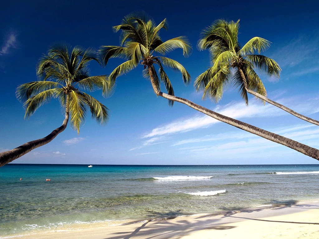 Beach Free 1920x1200px → High Quality Wallpapers