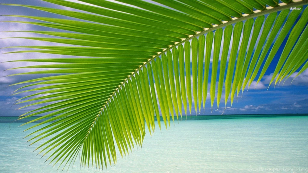 Key West Wallpapers