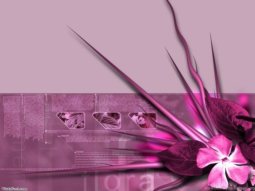 Diva Wallpapers Wallpapers Cave