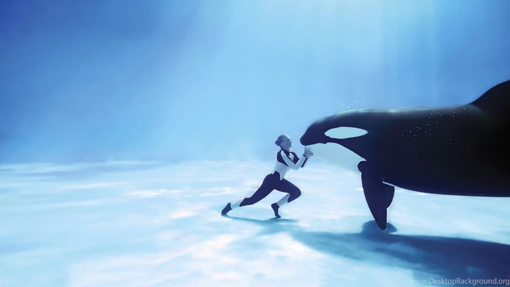 Awesome Orca Wallpapers