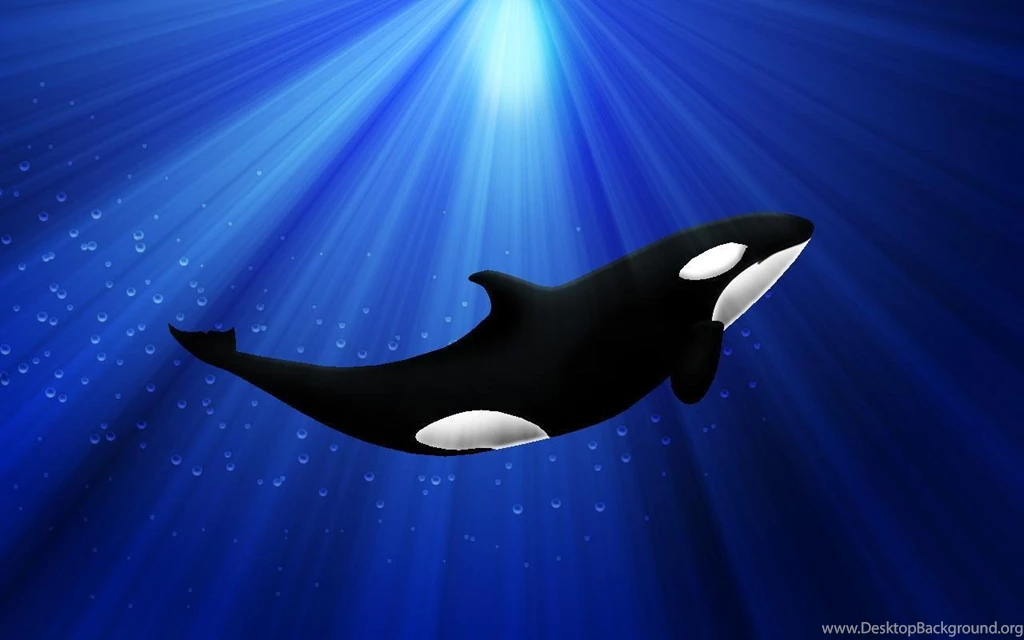 Orca Live Wallpapers Animal Android Apps On Google Play