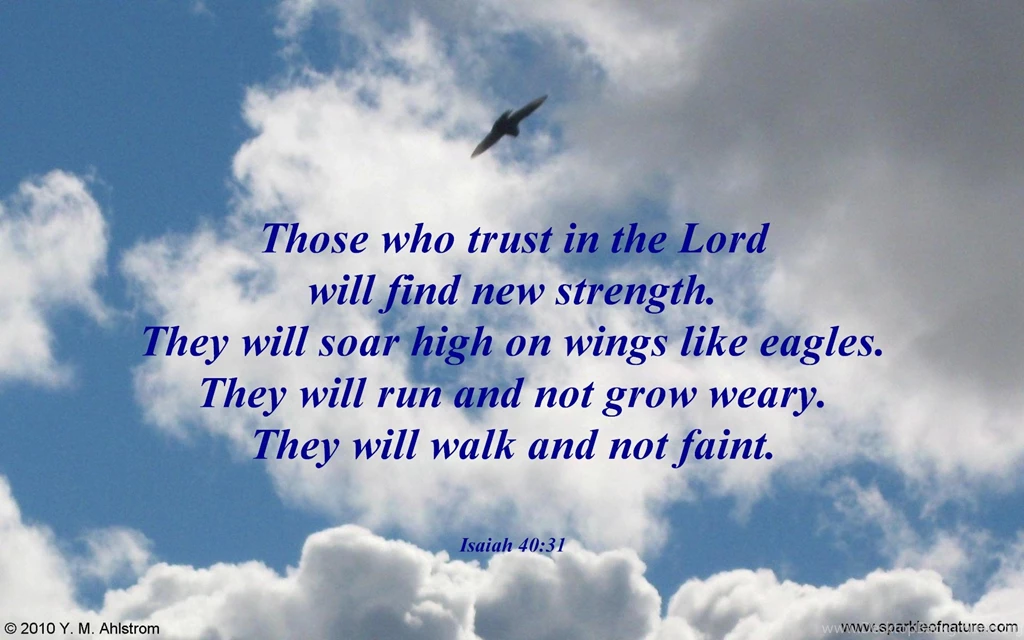 Free Desktop Wallpapers Religious & Inspirational 6991 Wings ...