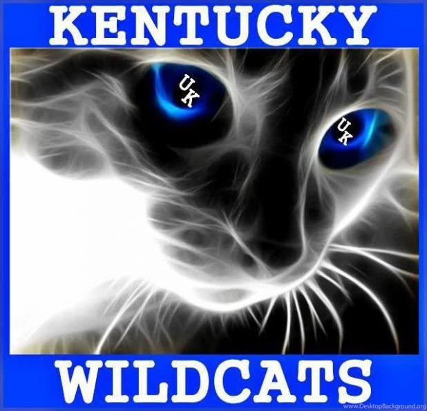 Funny Quotes About Kentucky Wildcats