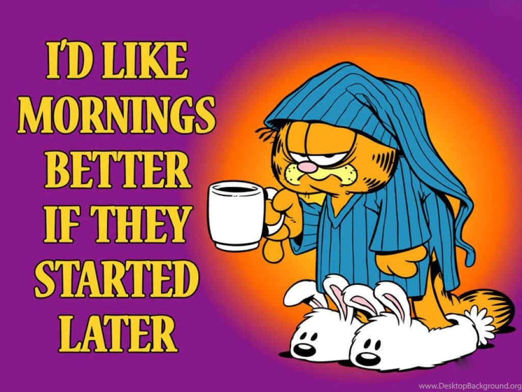 Garfield Morning Wallpapers 1024x768