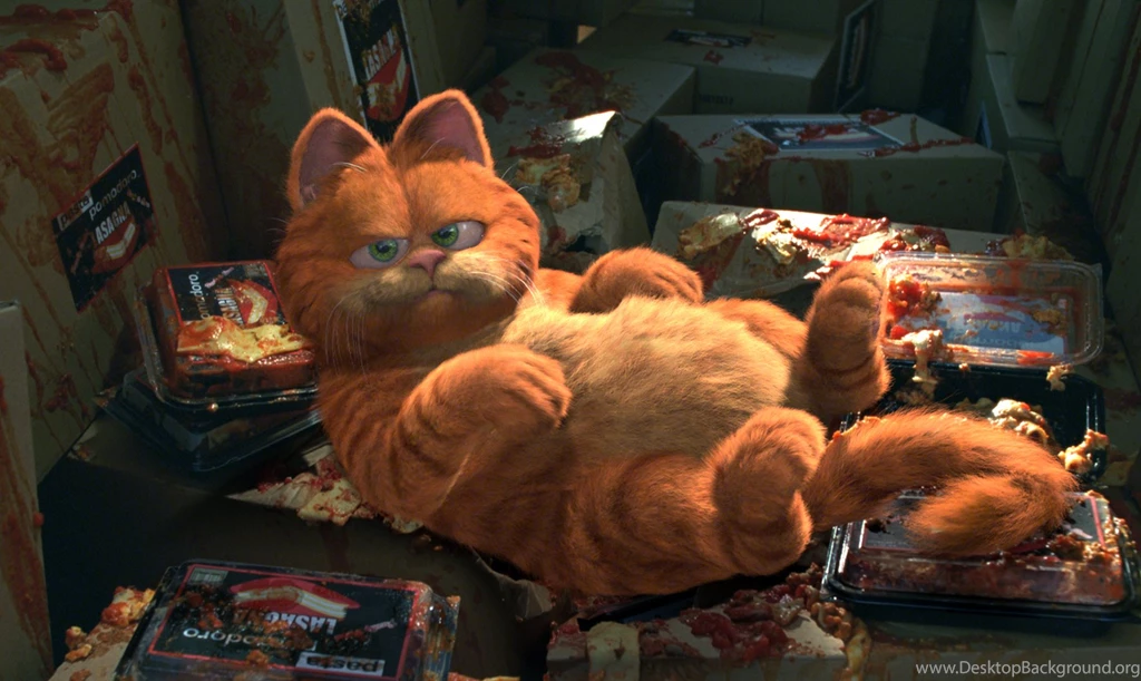 Garfield Facebook   Wallpaper.