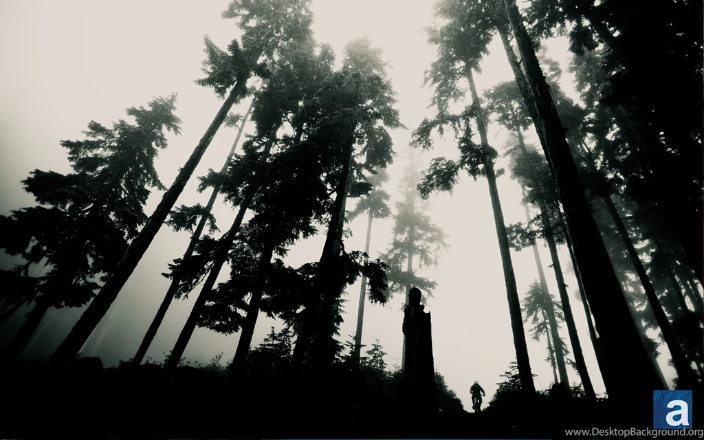 Adventure Journal – Wallpapers Wednesday: Whistler Woods Mountain ...