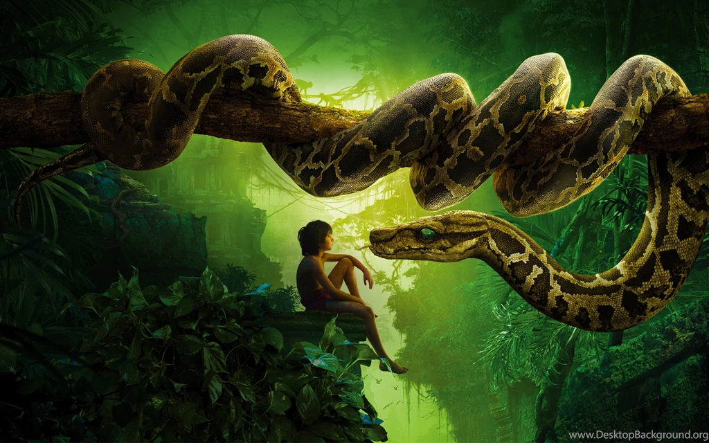 Jungle Book Snake Kaa Mowgli Wallpapers