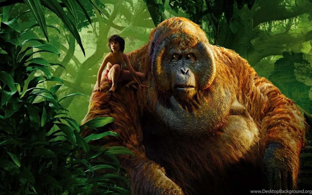 Mowgli King Louie Jungle Book Wallpapers