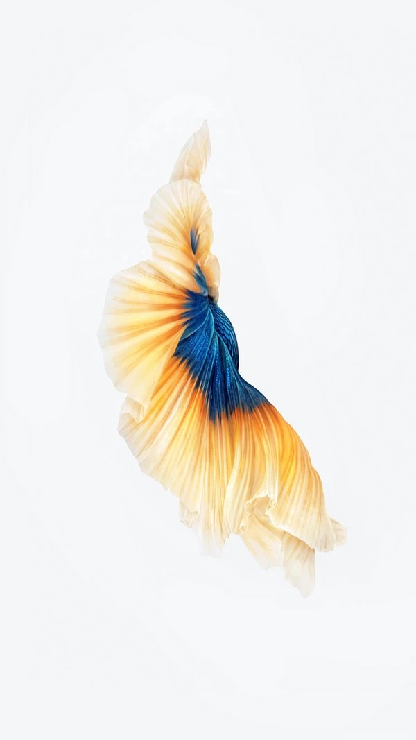 15+ Free iPhone Wallpapers To Set As Backgrounds