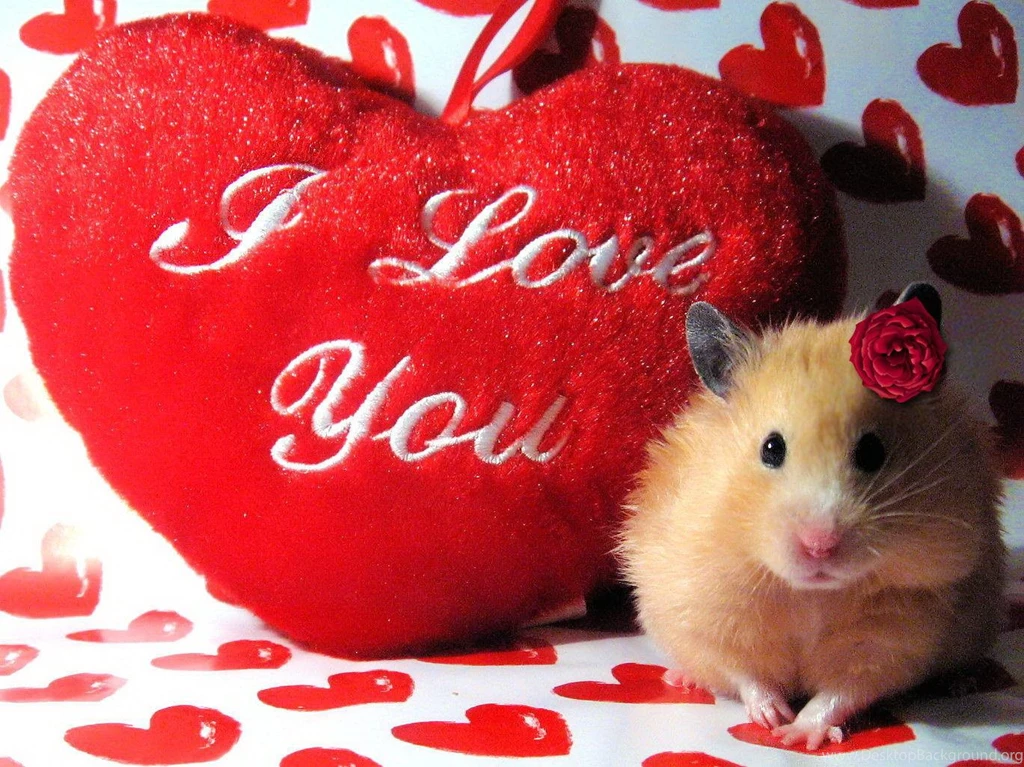 Love U Wallpapers