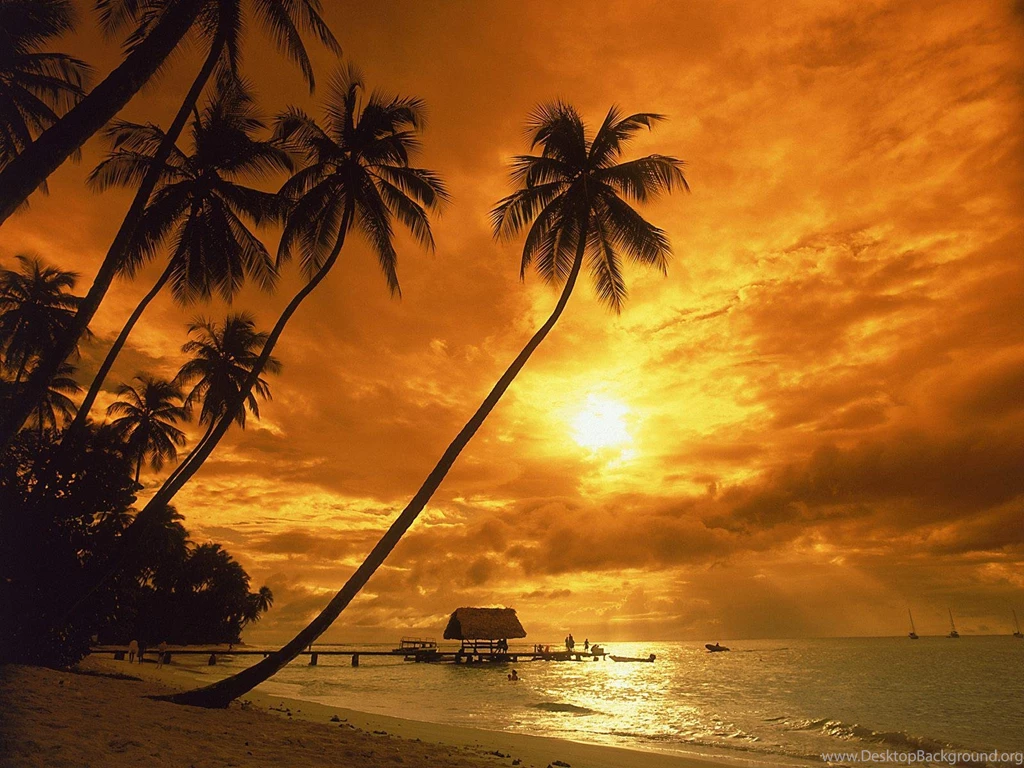 Earth Sunset HD Wallpapers, Desktop Backgrounds, Mobile Wallpapers ...