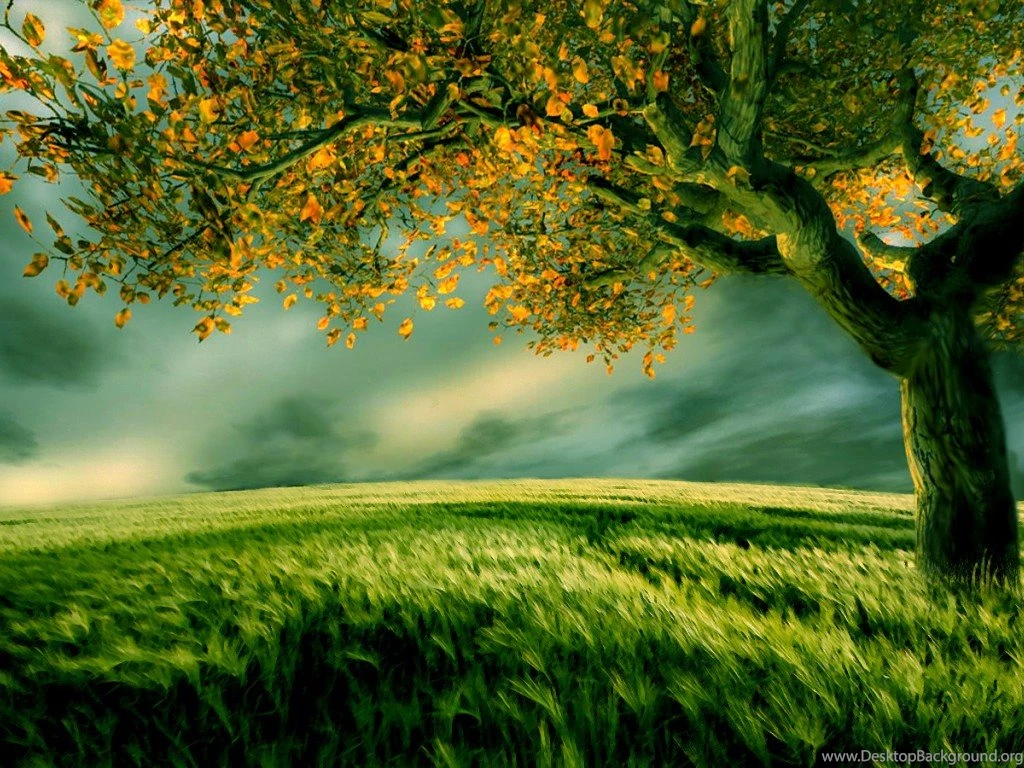 Beautiful Digital Scenery Wallpapers
