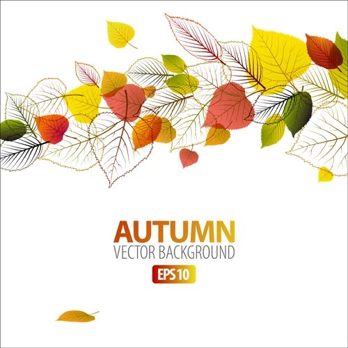 Set Of Charm Autumn Backgrounds Vector 04 Vector Backgrounds Free ...