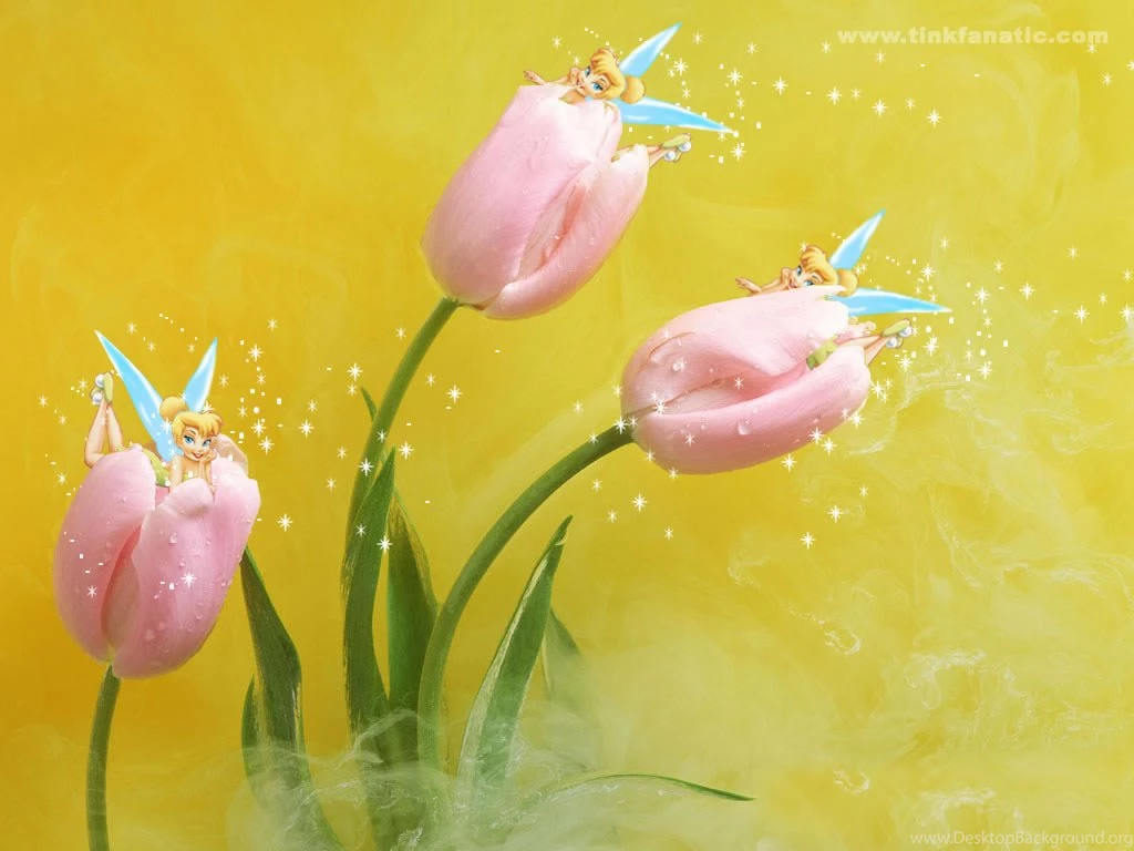 Deanne Morrison: Tinkerbell Backgrounds