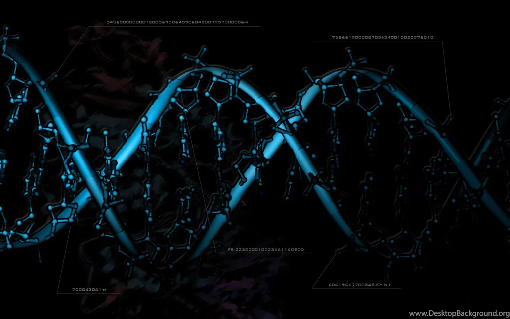 Let's Study...: Do You Know???