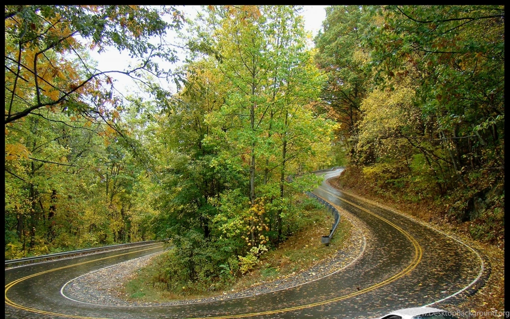 Wallpapers Initial D X   2560x1600