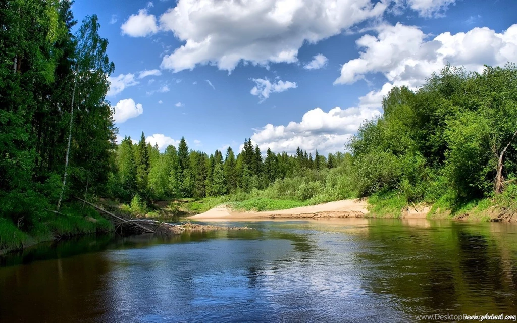 Beautiful Nature Views