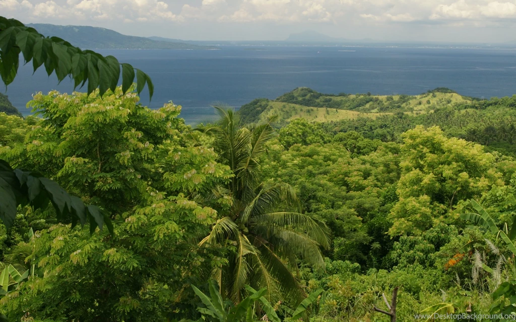 Image Collections Of Landscape Wallpapers HD Wallpapermonkey.com