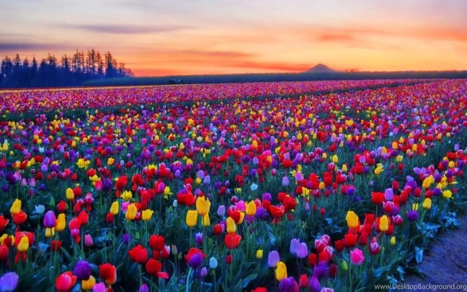 Most Stunning Views Of The World