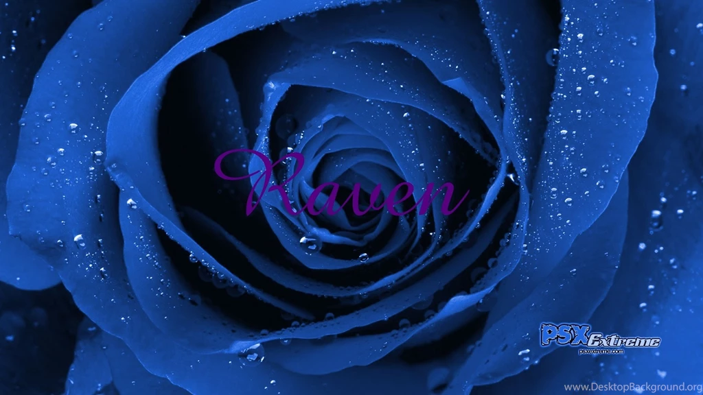 BIG BEAUTIFUL BLUE ROSE Teen Titans Raven Wallpapers (9378038 ...
