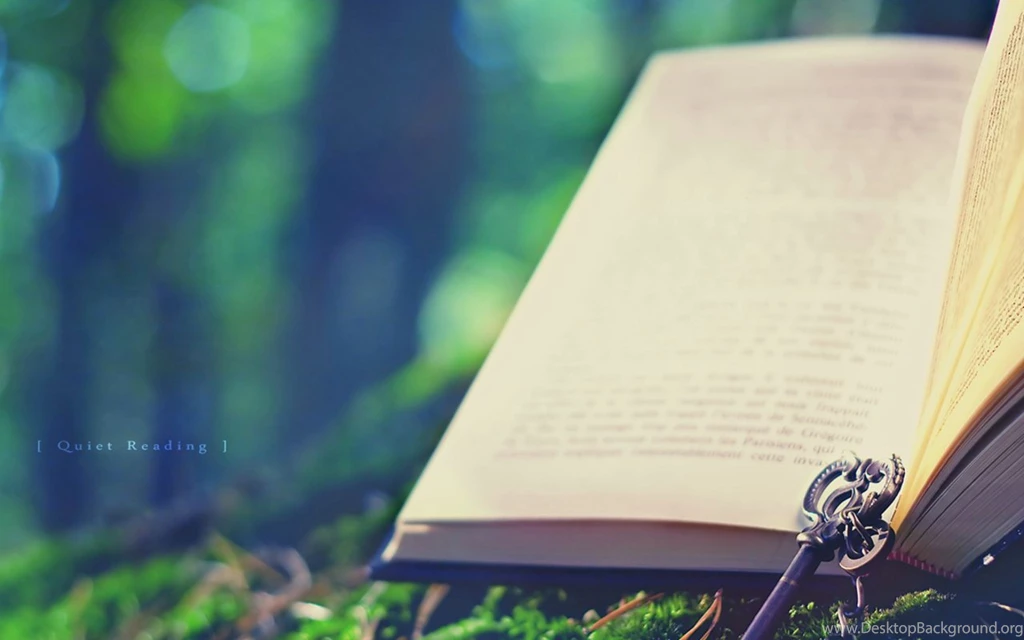 Photography wallpapers 13   Photography Wall